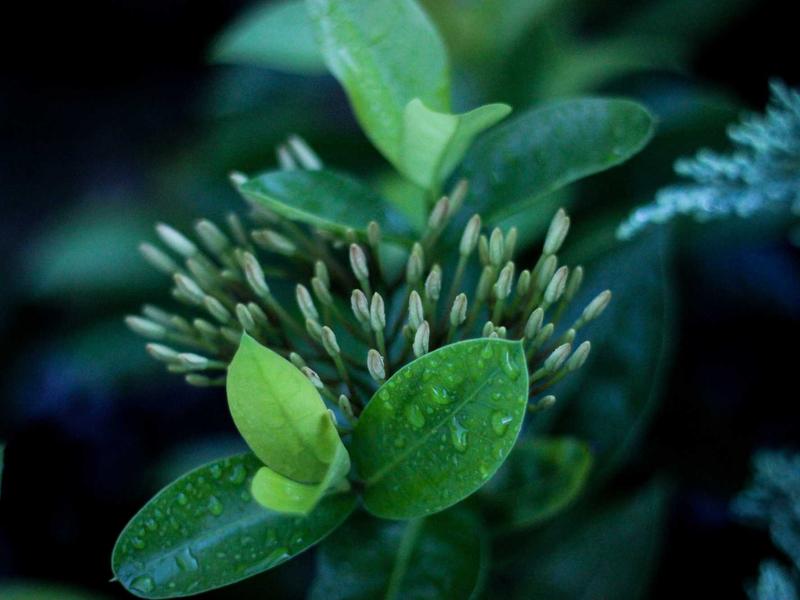 홋카이도 설원 속의 다이닝 익스피리언스